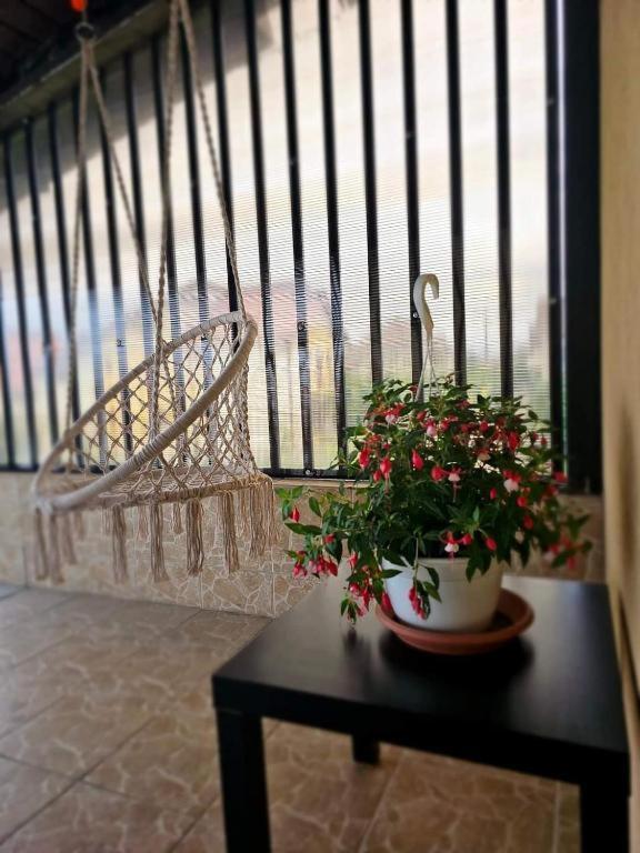 Pensiunea Relax Curtea de Argeş Zewnętrze zdjęcie